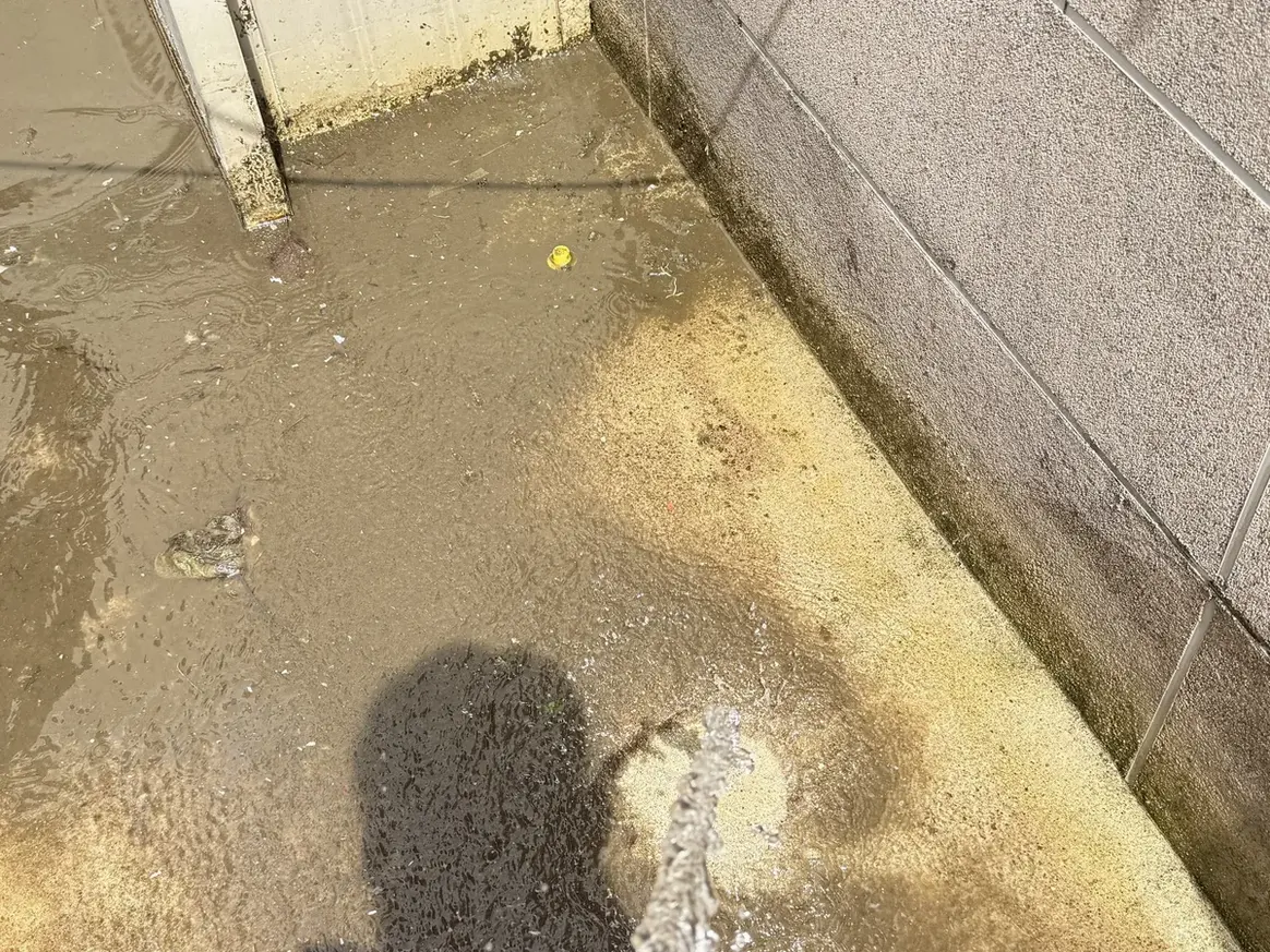 청양군 정산면 배관 관리실·기계실 위생청소 사례 - 행진크린